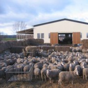 Erneuerung eines Schafstalls nach einem Brandschaden