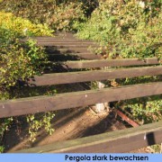 Pergola im Palmengarten, Leipzig